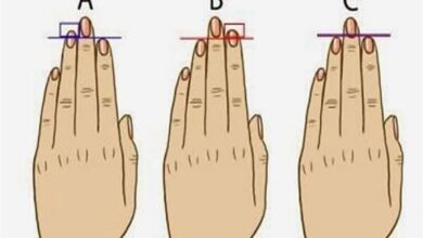 شكل أصابع اليد والشخصية (مواقع)