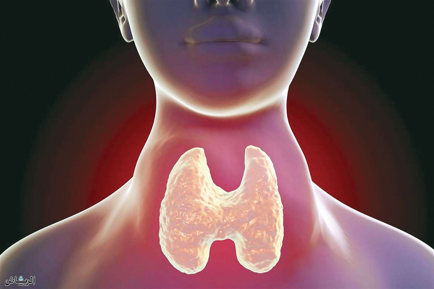 احذر.. هذه العلامات تشير إلى إصابتك بأمراض الغدة الدرقية