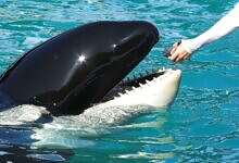 صورة تعبيرية (مواقع)